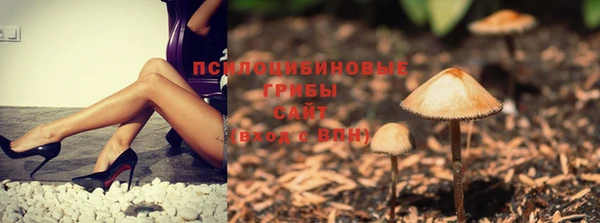ALPHA PVP Остров