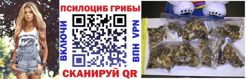 Псилоцибиновые грибы Cubensis  Анива 
